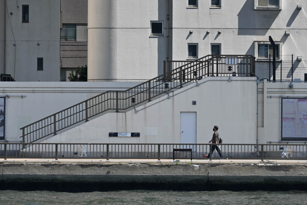 【スナップ撮影】カメラを持って川沿いを歩こう