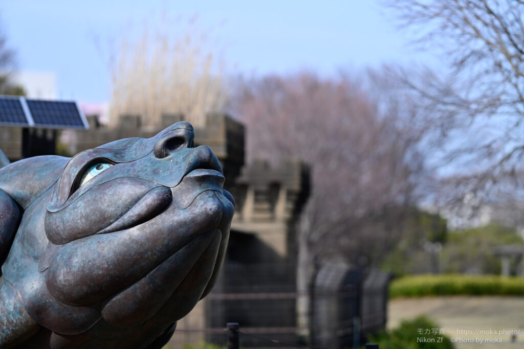 【スナップ撮影】単焦点レンズでゆっくりスナップ撮影！！