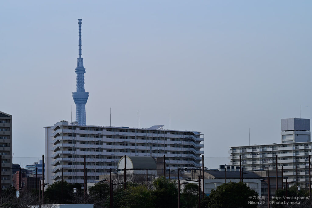 【ロケハン】春の撮影ポイント探しに出かけよう！