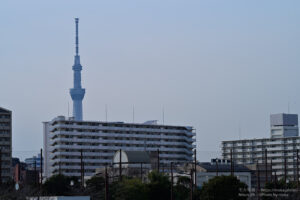 【ロケハン】春の撮影ポイント探しに出かけよう!