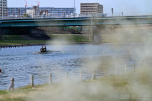 【スナップ撮影】単焦点レンズをつけてスナップ撮影