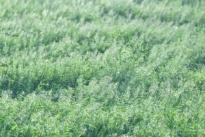 【スナップ撮影】新緑も綺麗な季節に・・