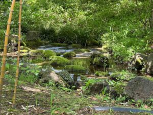 【ロケハン】都心でも新緑が綺麗な場所って意外と多い！？