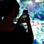 【水族館写真】水槽を撮るスマフォの画面