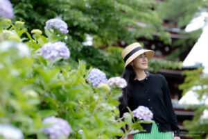 【ポートレート撮影】紫陽花をお寺で撮ってみた