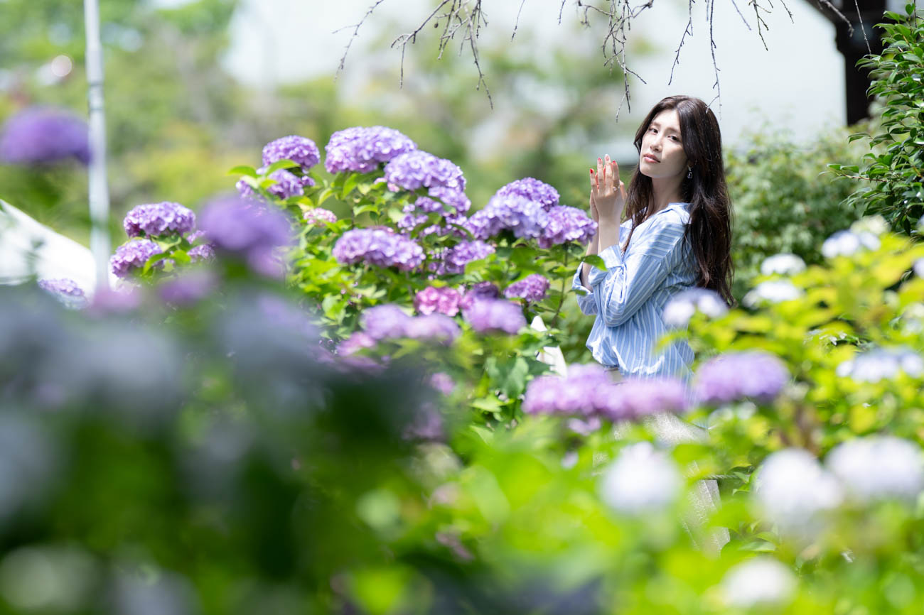 【ポートレート撮影】紫陽花の咲く頃・・