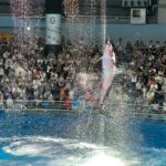 【水族館写真】iPhoneでイルカショーは撮れるのか!?