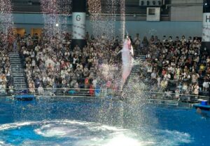 【水族館写真】iPhoneでイルカショーは撮れるのか！？