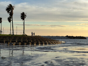 【iPhone写真】改めて・・iPhoneの写真がよく写る！！