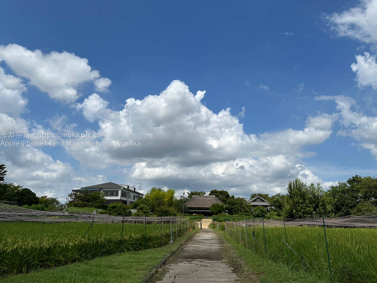 【スナップ撮影】夏休み最後の思い出作り！