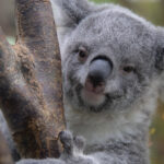 【スナップ撮影】涼しくなったら動物園に行こう!