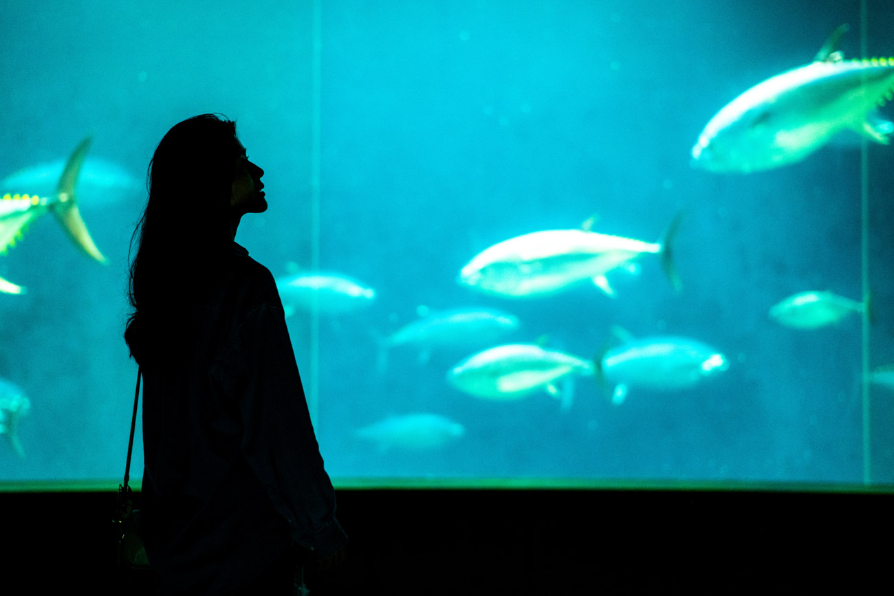 【ポートレート撮影】水族館の大水槽の前で