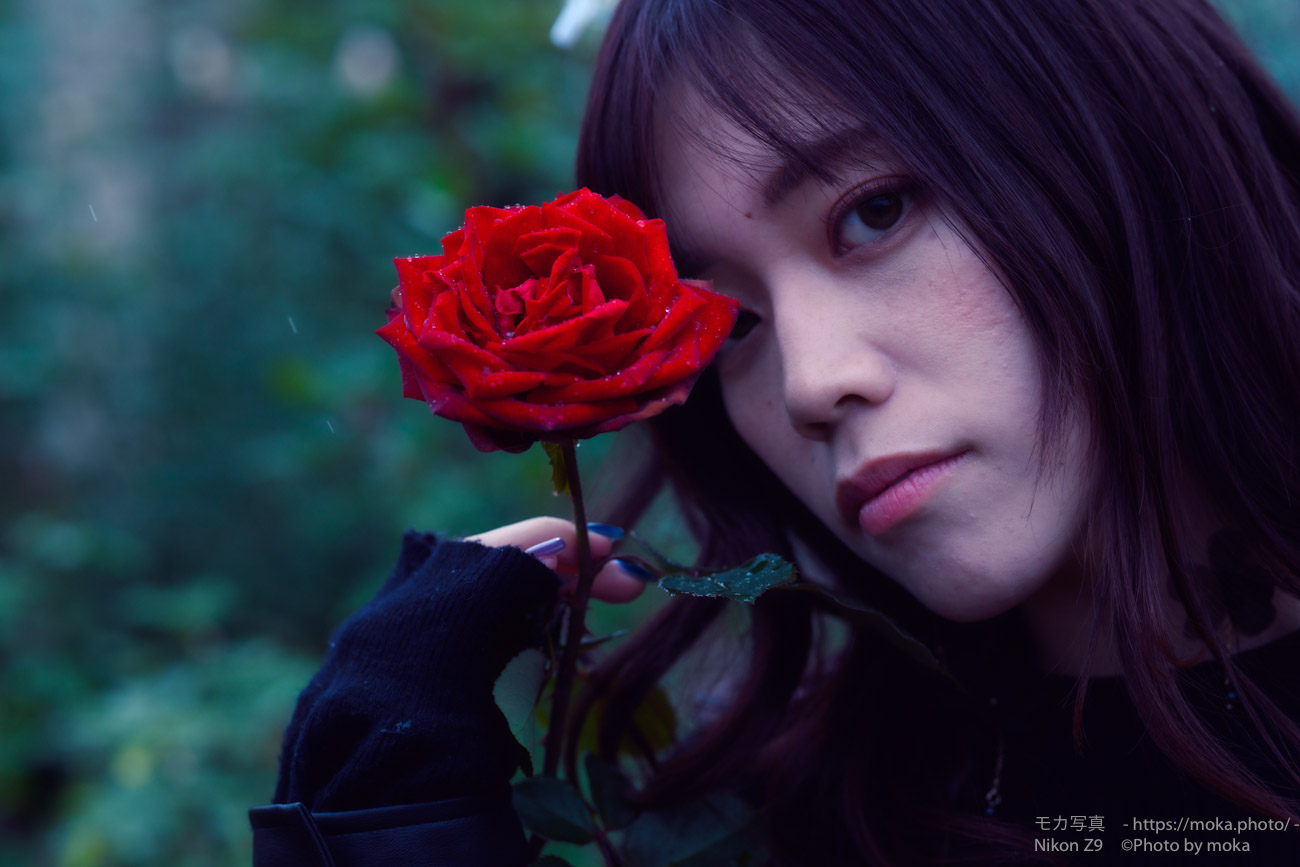 【ポートレート撮影】秋の薔薇と冷たい雨と・・