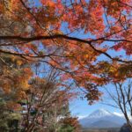 【スナップ撮影】富士山と紅葉