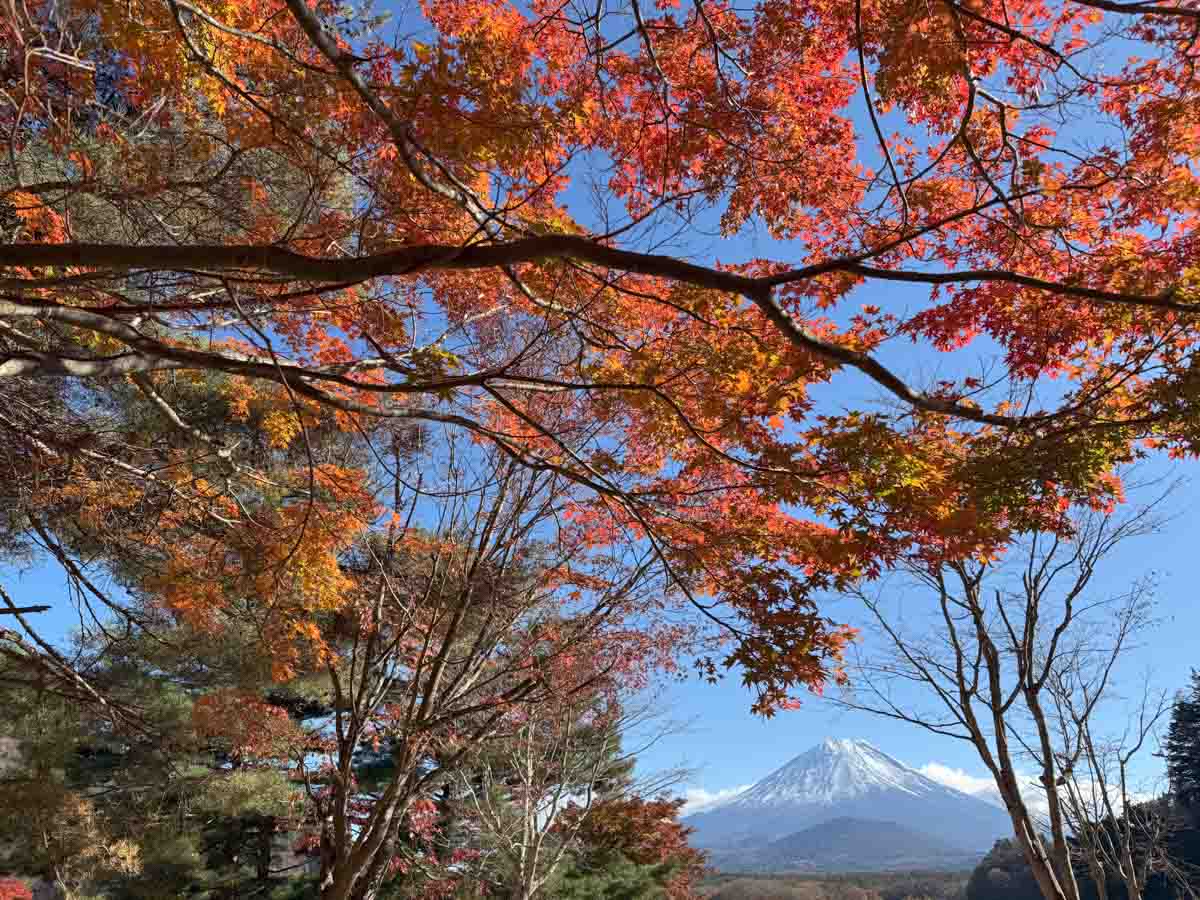 【スナップ撮影】富士山と紅葉