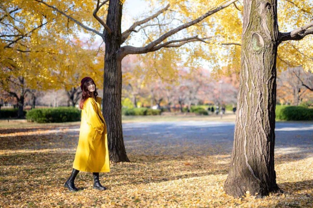 【ポートレート撮影】イチョウに囲まれて・・