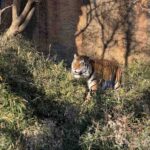 【iPhone写真】多摩動物園って写真が撮りやすいよね!?