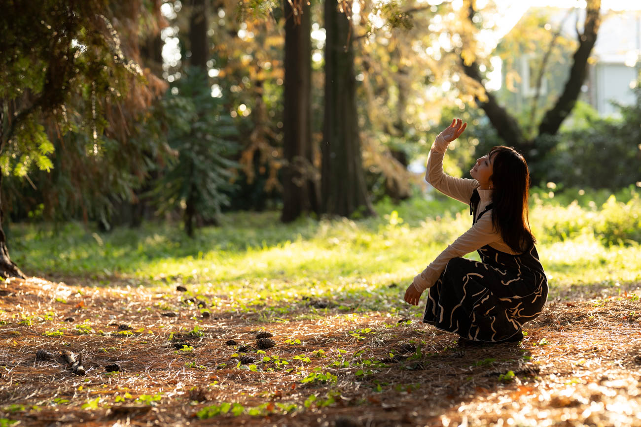 柔らかな光が降りそそぐ森で